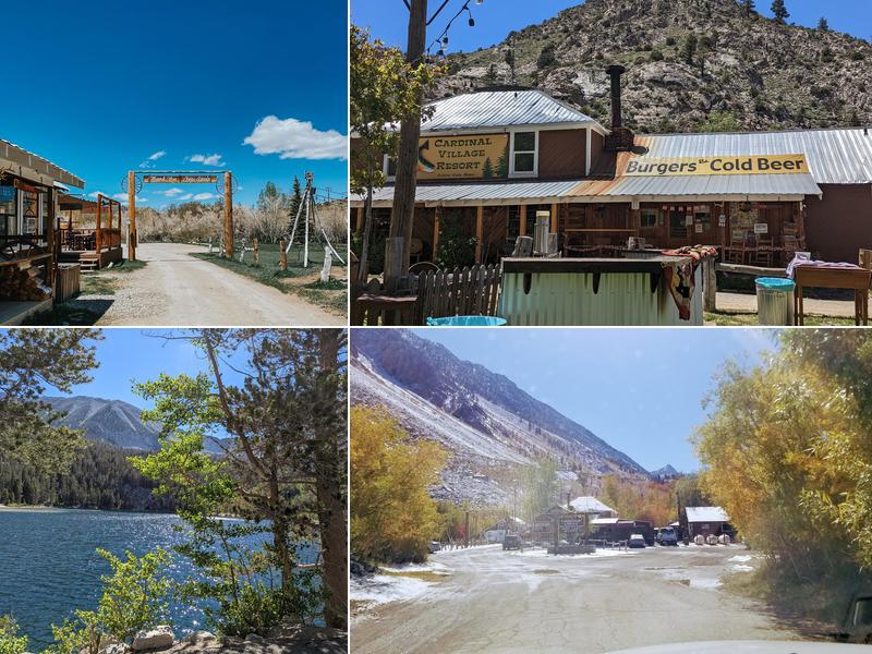 Cardinal Cafe Bishop