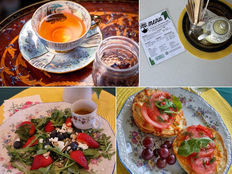 Palma Sola Botanical Park