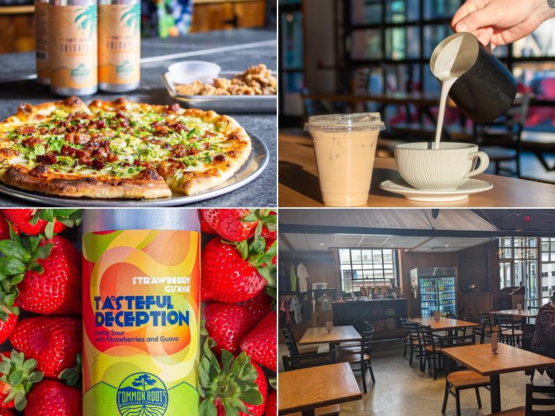 Common Roots Albany Outpost 19 Quackenbush Square, Albany