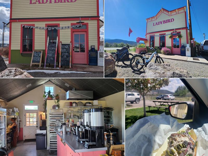 Ladybird 22 Hotchkiss Ave, Montrose