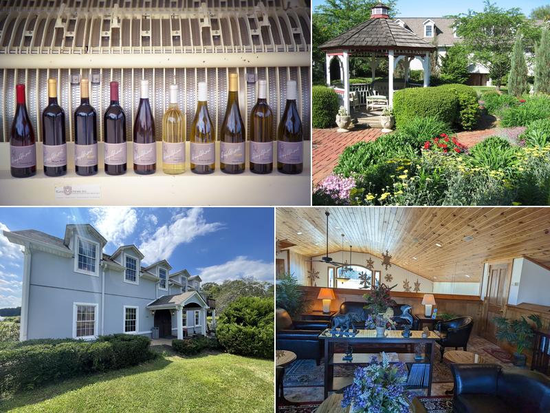 Gray Ghost Vineyards