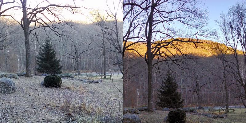 Mansfield's Handyman Services