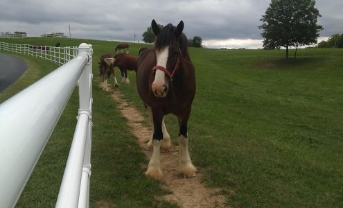Oasis Pools -Pool Cleaning 24740 MO-98, Boonville Missouri 65233
