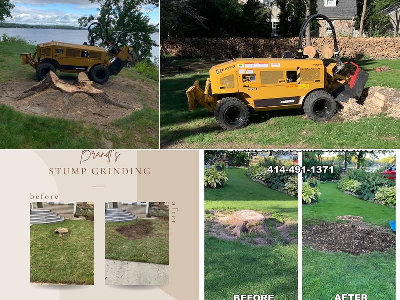 Brandt's Stump Grinding