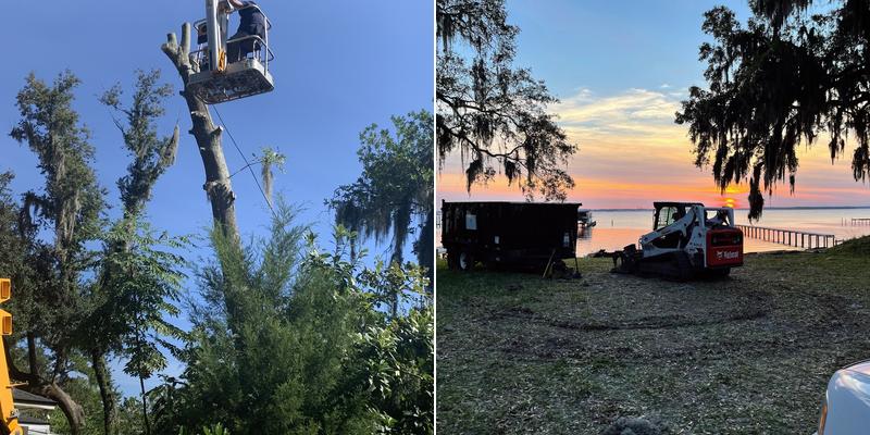 Dunkle's Tree Service