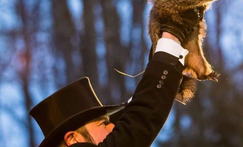 Lee Beck - Alta Vista Home Inspection Services 2801 FM 1536, Sulphur Springs Texas 75482