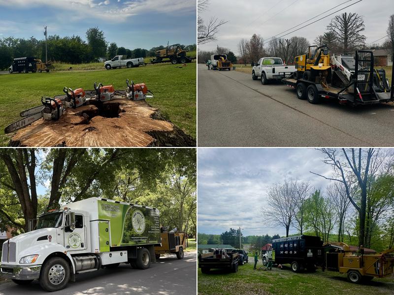 JRM Tree Service Care For Life LLC