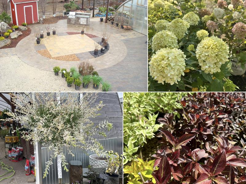 4Evergreen Landscape & Design Service