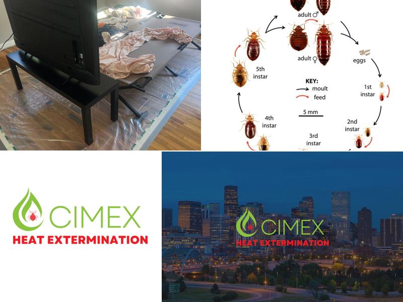 Hot Bugz Bed Bug Heat Extermination Services Inc.