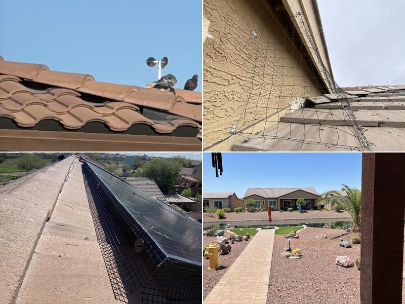 Semper Fi Pest Management