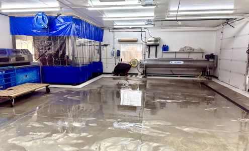 Flagstaff Rug Specialists 2209 N Main St, Flagstaff Arizona 86004