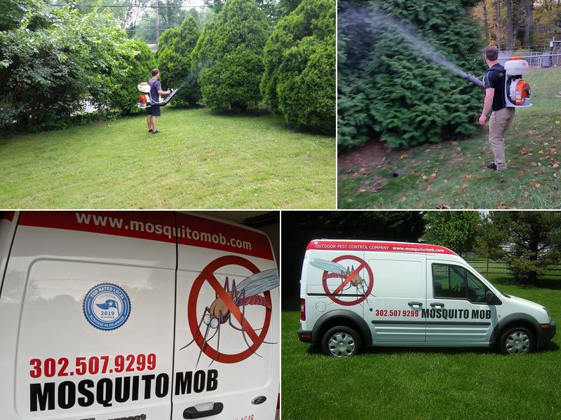 Mosquito Mob of Wilmington Delaware