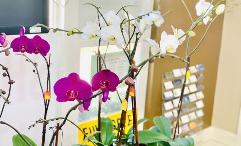 San Jose Shoe Repair and Alterations