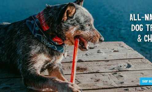 Dbk Enviro Clean Products and Services