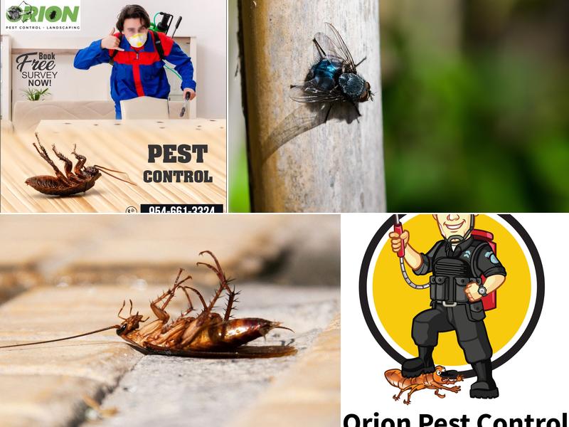 Orion Pest Control