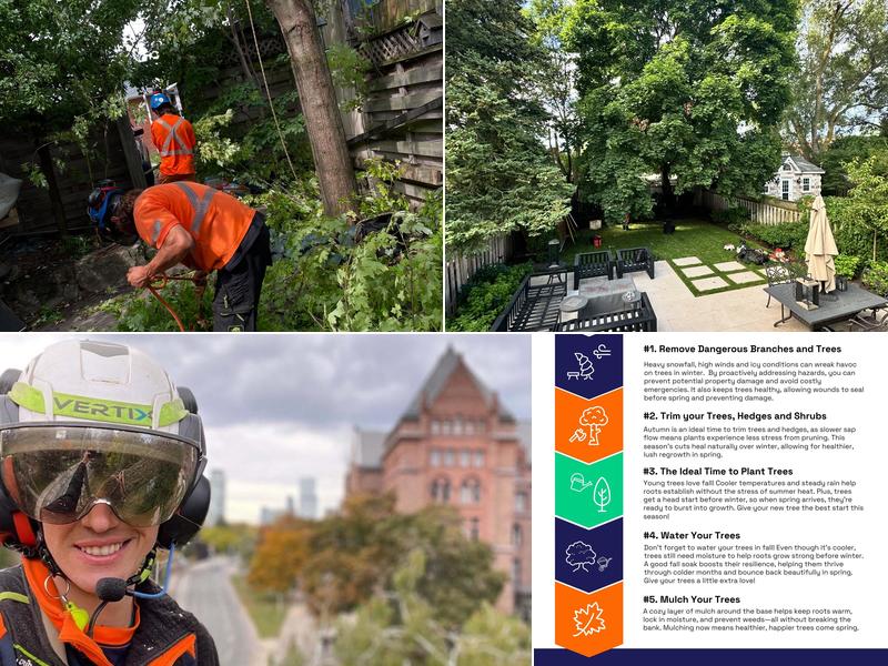 Vista Tree Management