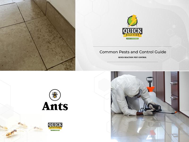 Quick Reaction Pest Control