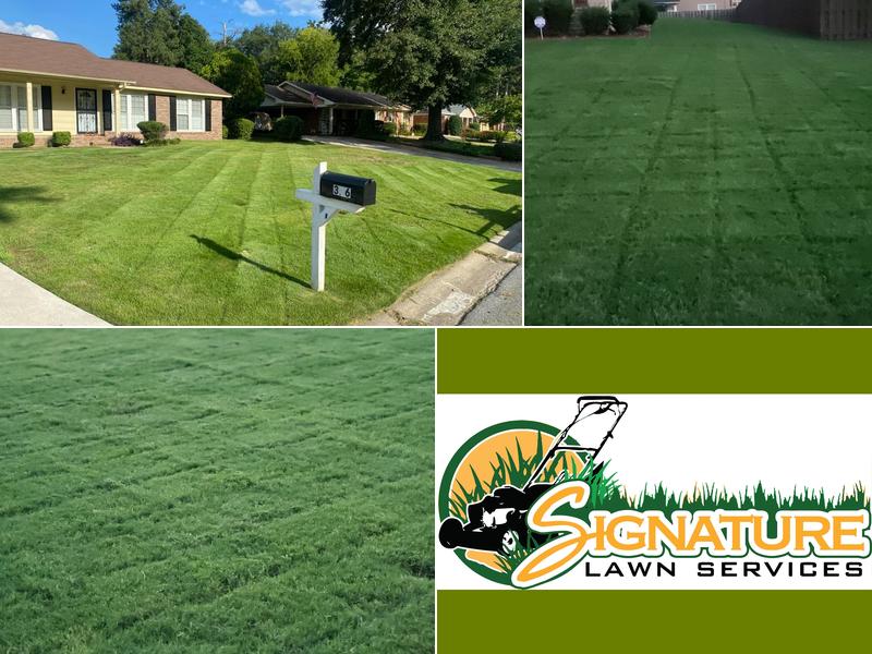 Signature Lawn Services