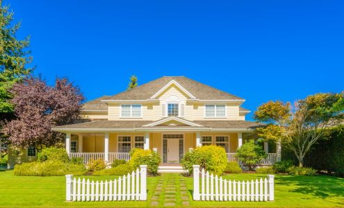 Wild Wood Tree & Landscape