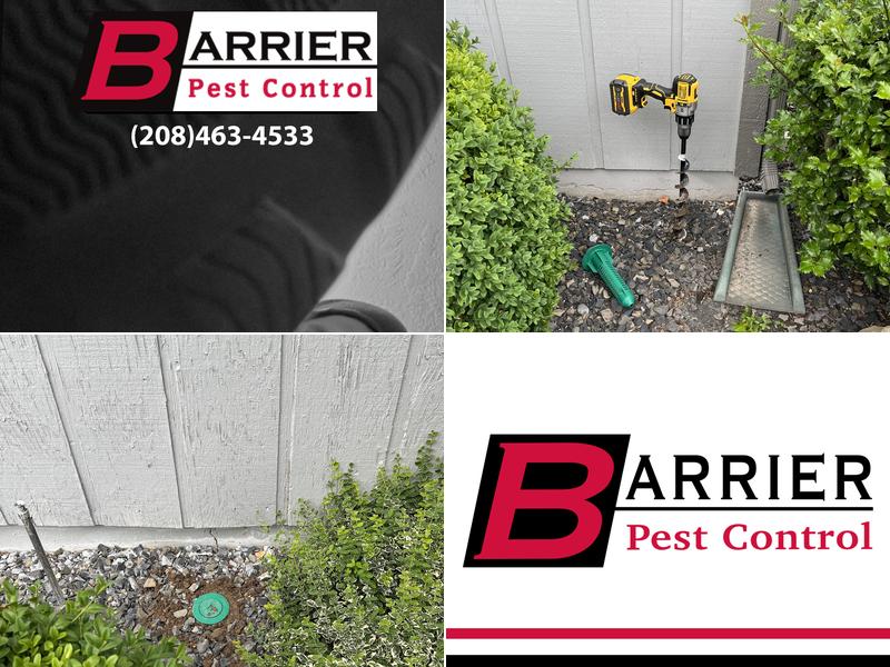 Barrier Pest Control