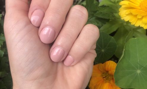 Alli's Nails & Spa 1419 E Palatine Rd, Arlington Heights Illinois 60004