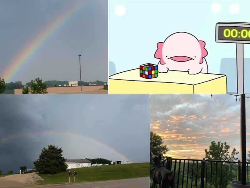 Ludvicek Construction