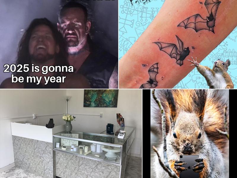 Forbidden Fruit Tattoo and Piercing