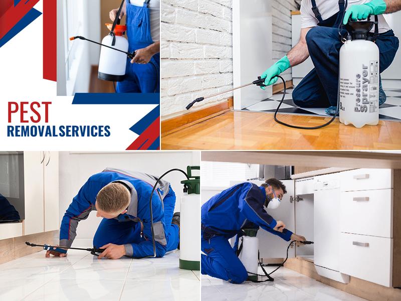 Bug Blasters Pest Control