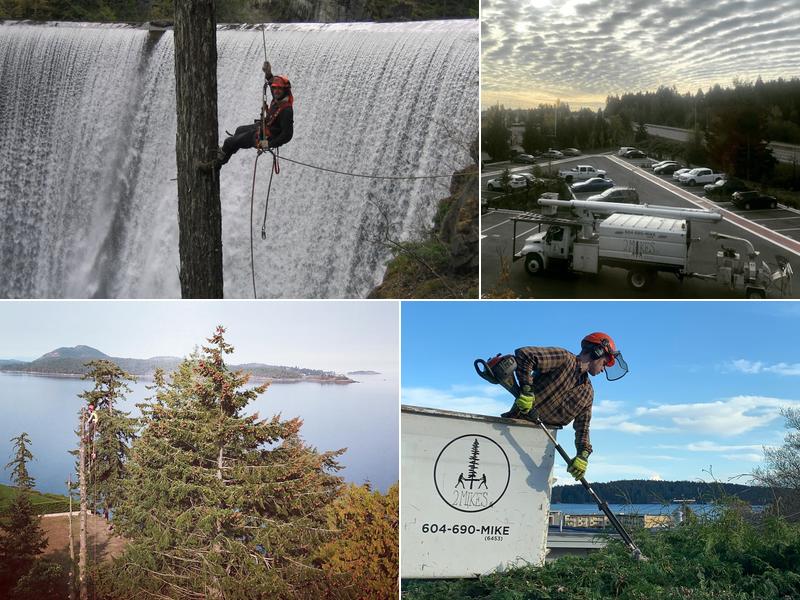 2 Mikes Tree Service