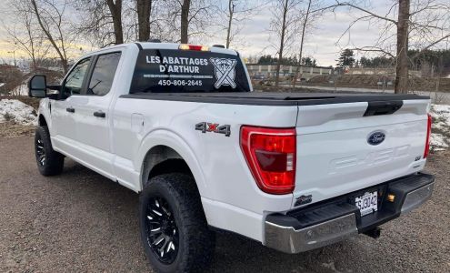 Les Abattages d'Arthur - Abattage d'arbre, Émondeur Saint-Jérôme