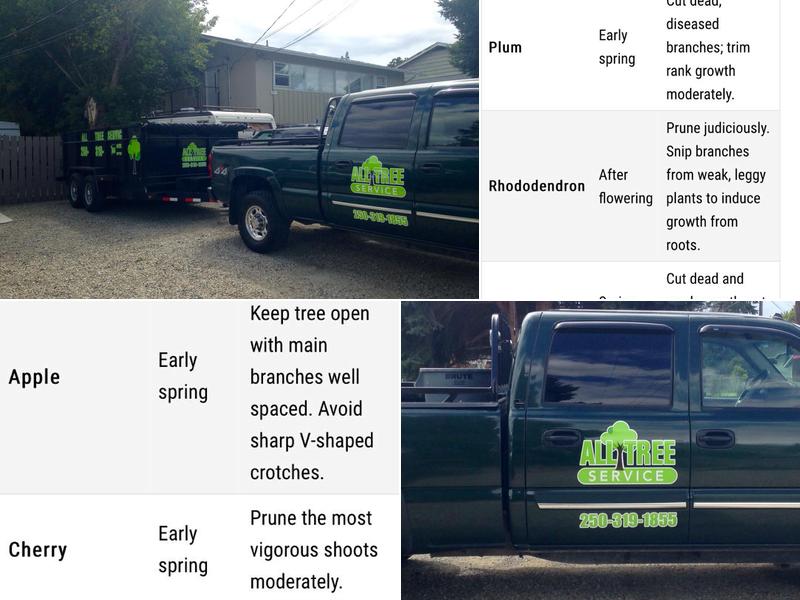 All Tree Service
