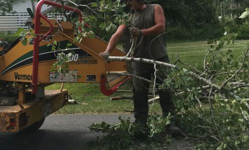 Tidy Timbers 1089 Ewert St, Prince George British Columbia V2M 2P3