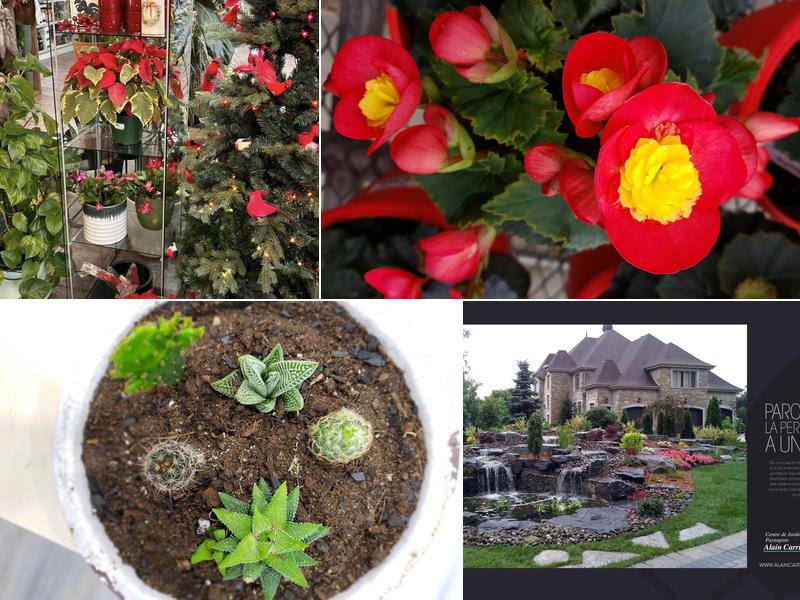 Centre de Jardin Alain Carrier Paysagiste