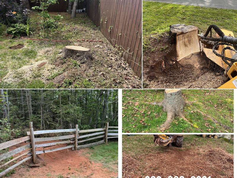 Renewed Landscapes Inc