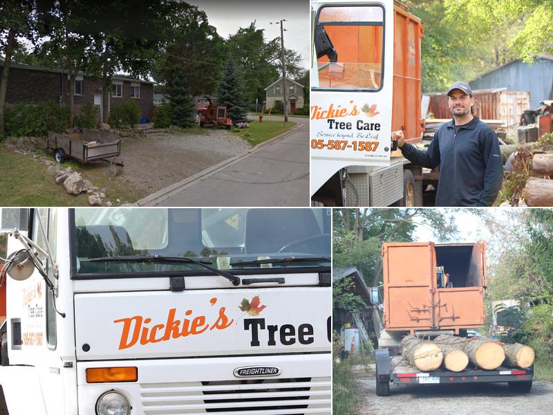 Dickies Tree and Shrub Care