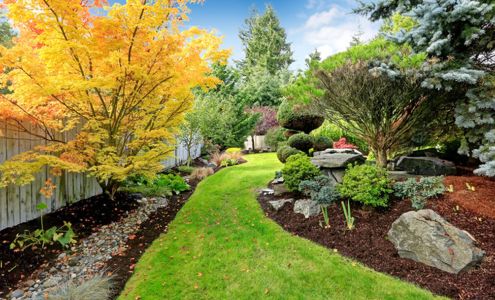 Cutting Edge LawnCare & Landscape