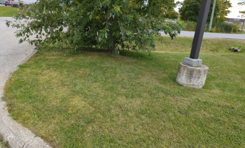 The season king group