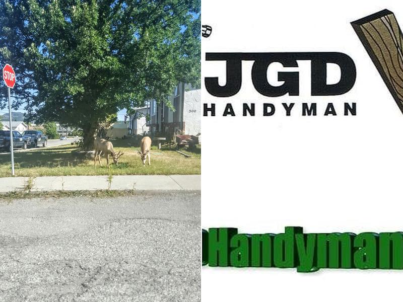 JGD Handyman