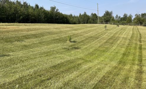 Cam’s Cuts Yard Maintenance 1425 97 Ave #9, Dawson Creek British Columbia V1G 4J6