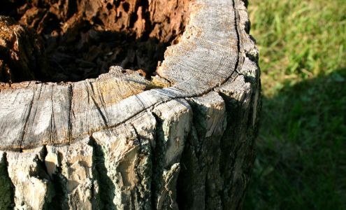 204 Property Maintenance 7247 Henderson Hwy, Lockport Manitoba R1A 2A8