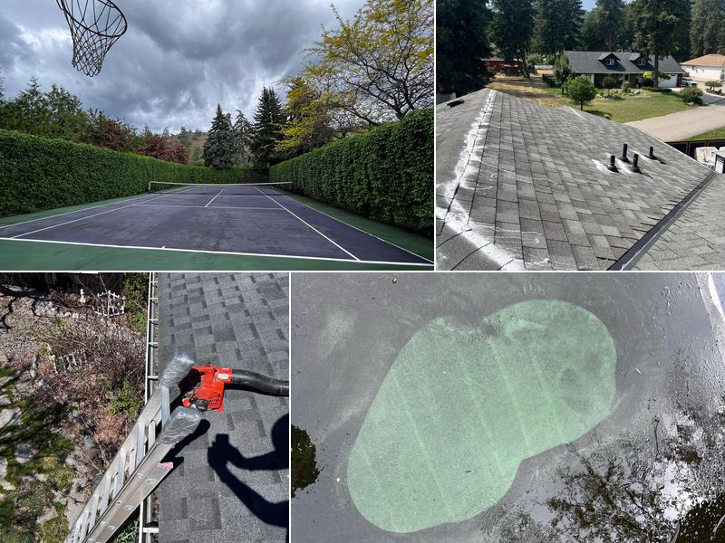 iClean Roofs, Gutters & Windows Services