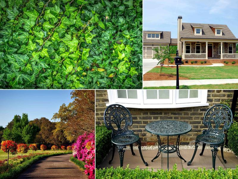 Landscaping Coquitlam Ecopros