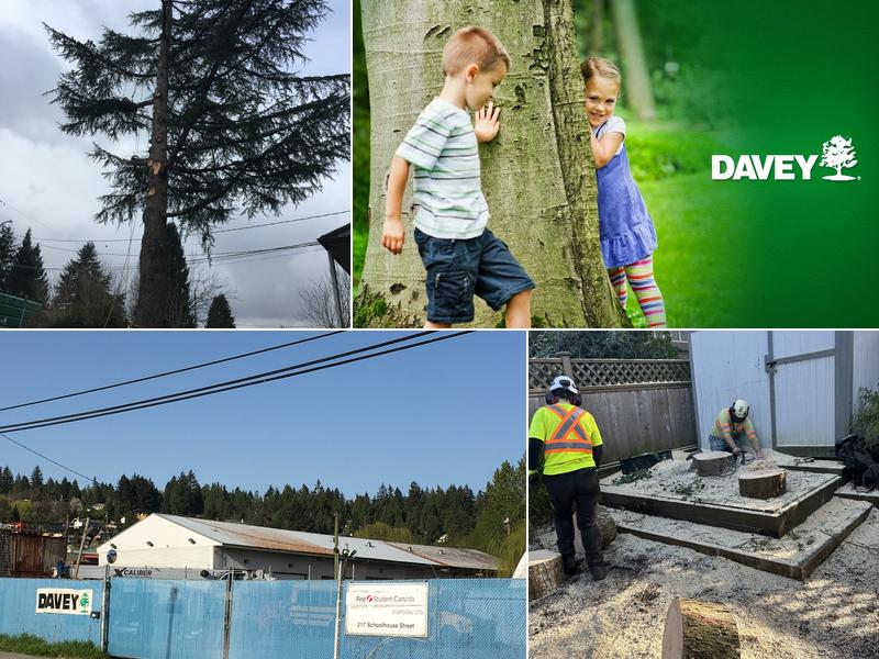 Davey Tree Expert Co. of Canada, Limited