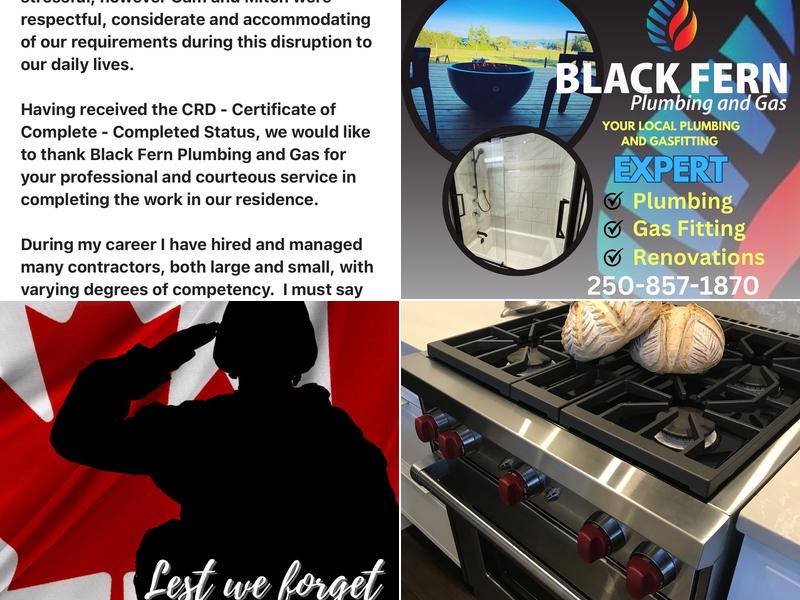 Black Fern Plumbing and Gas
