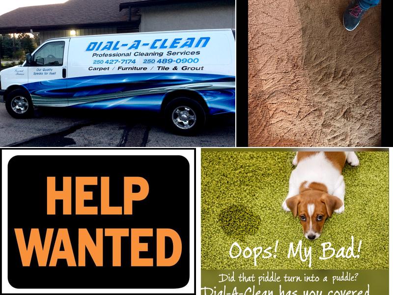 Dial-A-Clean Services Ltd