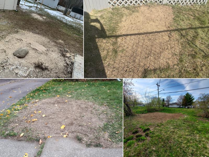 Stump Assassins Yardwork Inc.