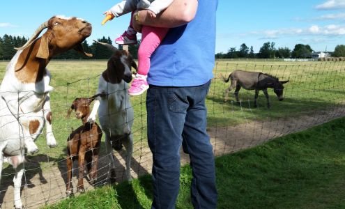 Hubert Williston Renovations 151 Murdock Rd, Napan New Brunswick E1N 4Y9