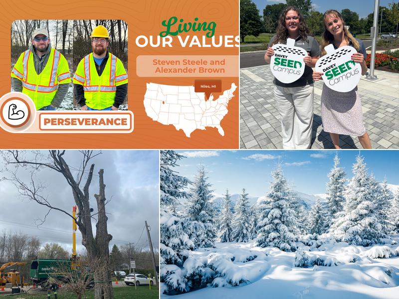 Davey Tree Expert Co. of Canada, Limited