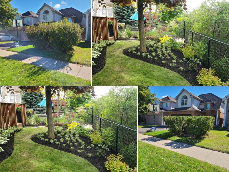 Plant Base Landscaping