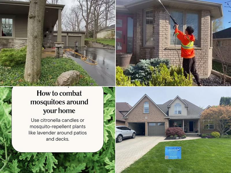 Glacier Home Services